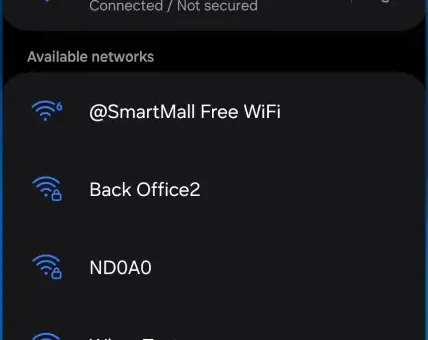 Screenshot_20240819_094208_Settings